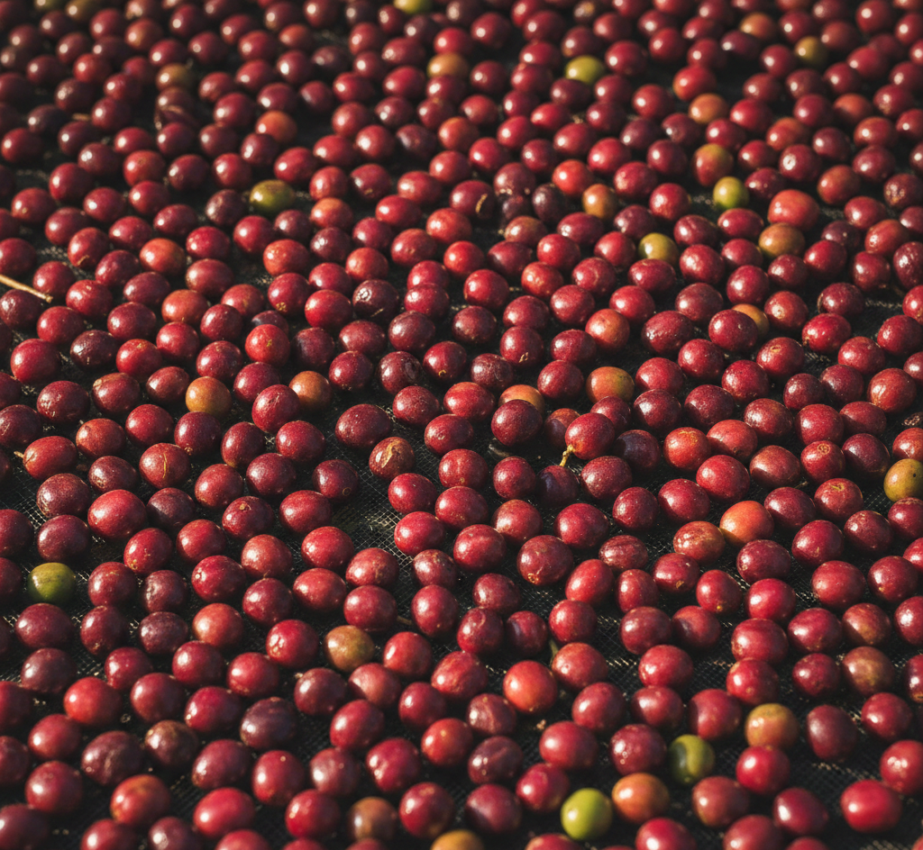 Gemini Generated Image Hjqh81hjqh81hjqh E1765195422851